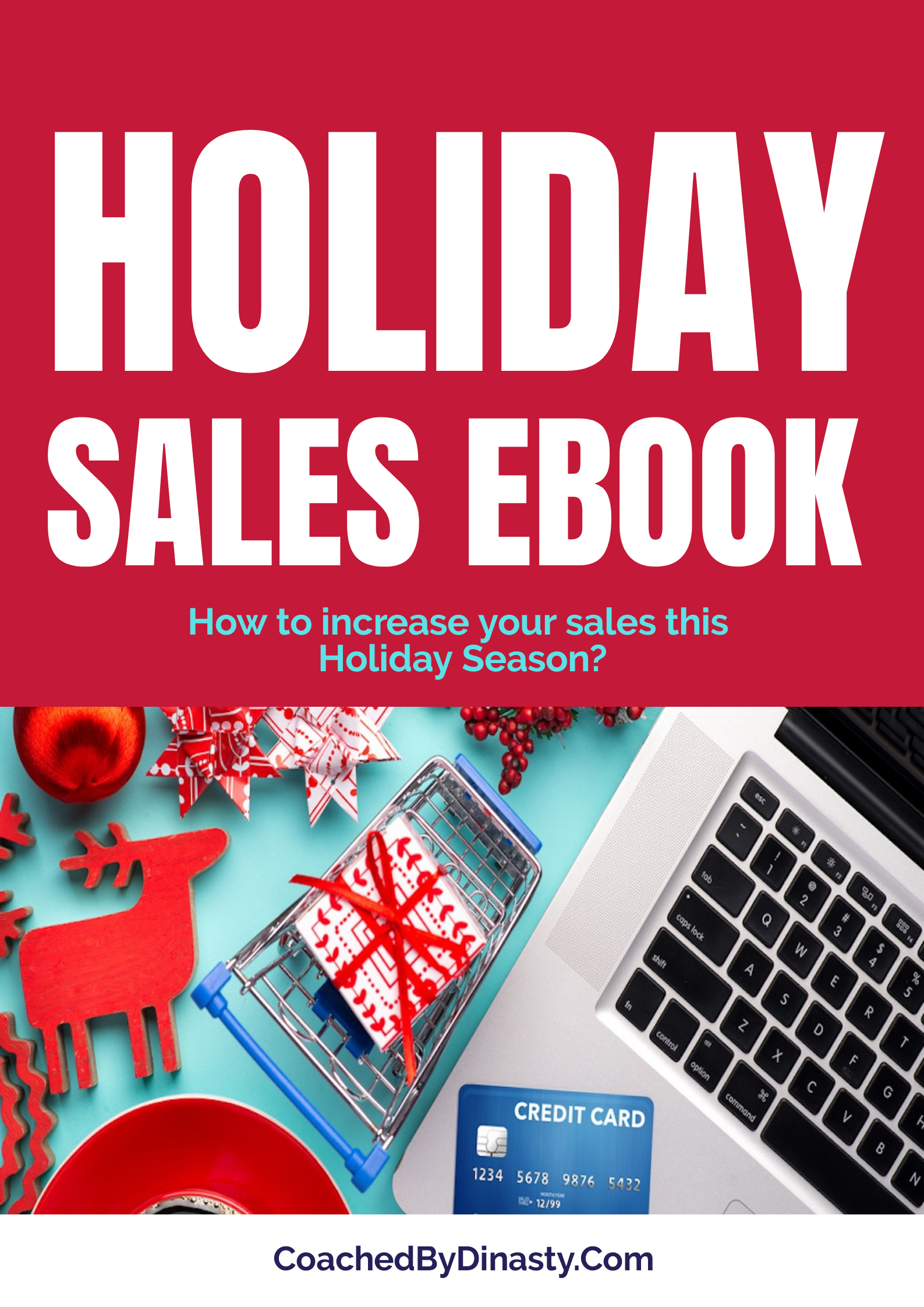 Holiday Sales Book